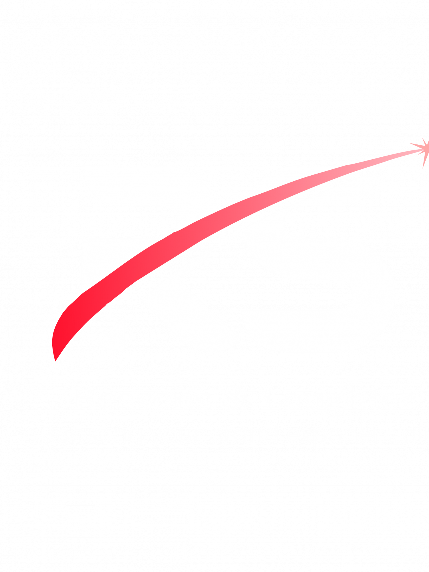 RS LOGO white